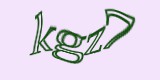 Защитный код