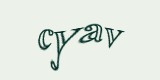 Защитный код