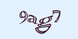 Защитный код