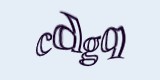 Защитный код