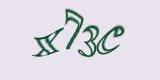 Защитный код