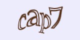 Защитный код