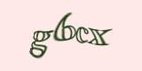 Защитный код