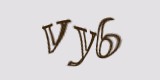 Защитный код