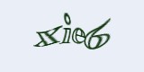 Защитный код