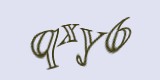 Защитный код