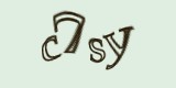 Защитный код