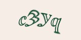Защитный код