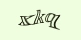Защитный код