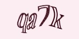 Защитный код
