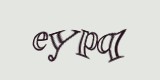 Защитный код