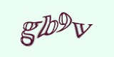 Защитный код