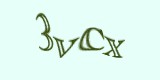 Защитный код