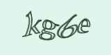 Защитный код