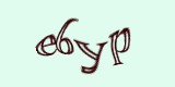 Защитный код