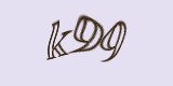 Защитный код