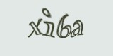 Защитный код