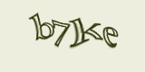 Защитный код