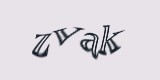 Защитный код