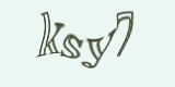 Защитный код