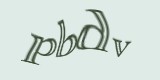 Защитный код