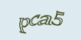 Защитный код