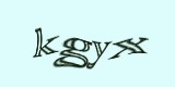 Защитный код