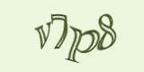 Защитный код