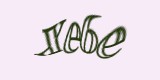 Защитный код