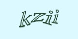 Защитный код