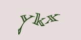 Защитный код