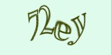 Защитный код