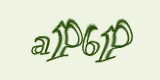 Защитный код
