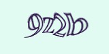 Защитный код
