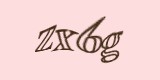 Защитный код