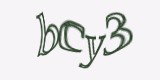 Защитный код