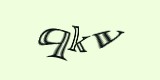 Защитный код