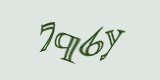 Защитный код