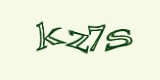 Защитный код