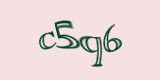 Защитный код