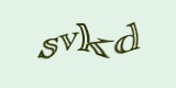 Защитный код
