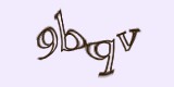 Защитный код