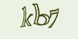 Защитный код