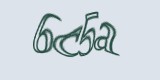 Защитный код