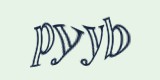 Защитный код