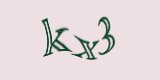 Защитный код