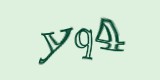 Защитный код