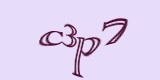 Защитный код
