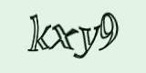 Защитный код