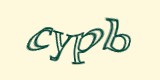 Защитный код
